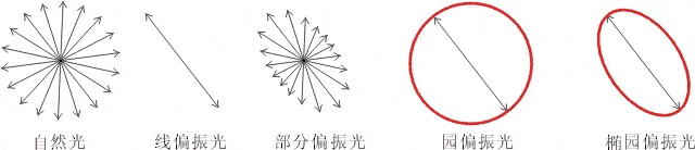 什么是偏振光？偏振光是如何完成檢測(cè)的？