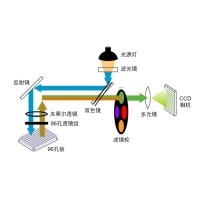 什么是熒光定量PCR、數(shù)字PCR？