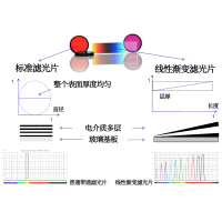 線性漸變?yōu)V光片是什么？有何特點(diǎn)？