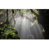 光的干涉、衍射、折射、反射、散射